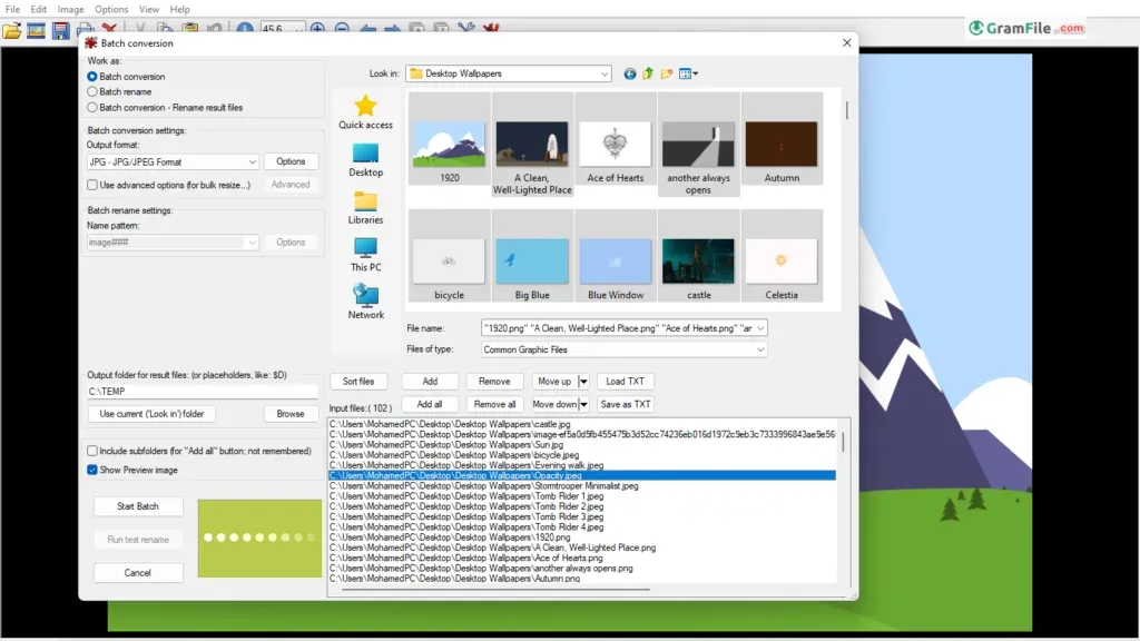 IrfanView Batch Resize IrfanView Batch Resize