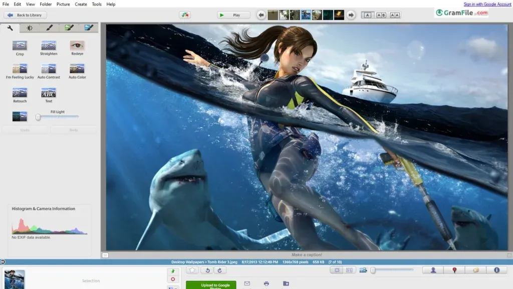 Picasa Image Viewer Screenshot