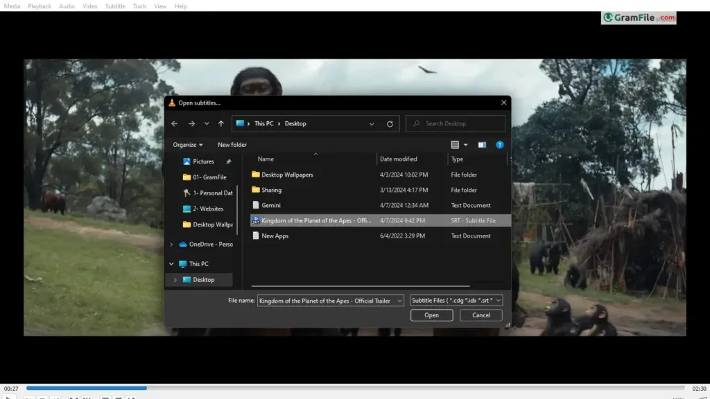 VLC media player with Subtitle