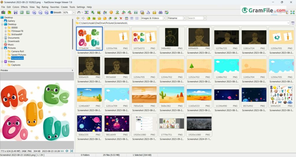 FastStone Image Viewer for Windows 11