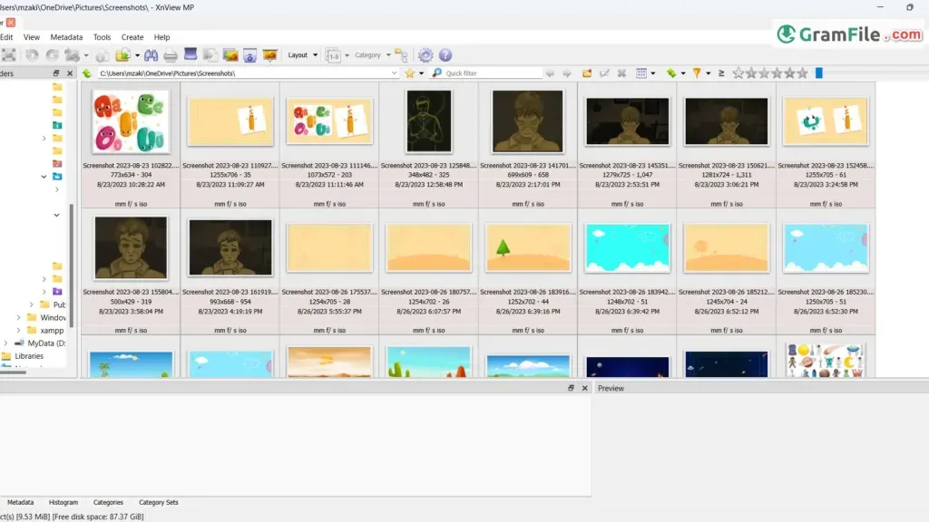 XnView MP Download