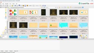 XnView MP Download