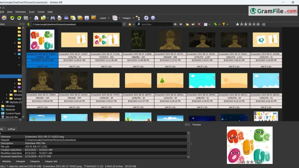 XnView MP Portable