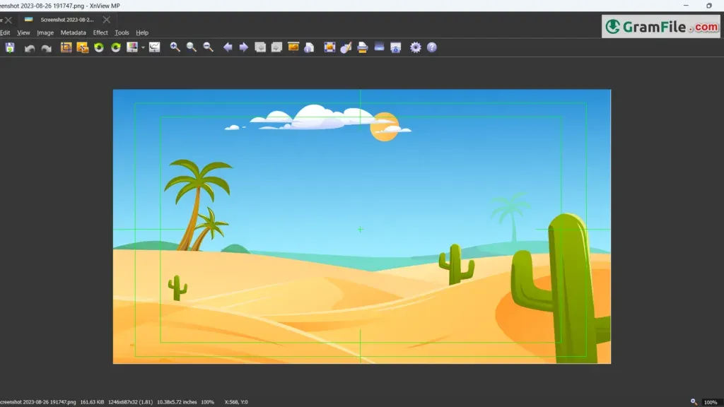 XnView MP for PC