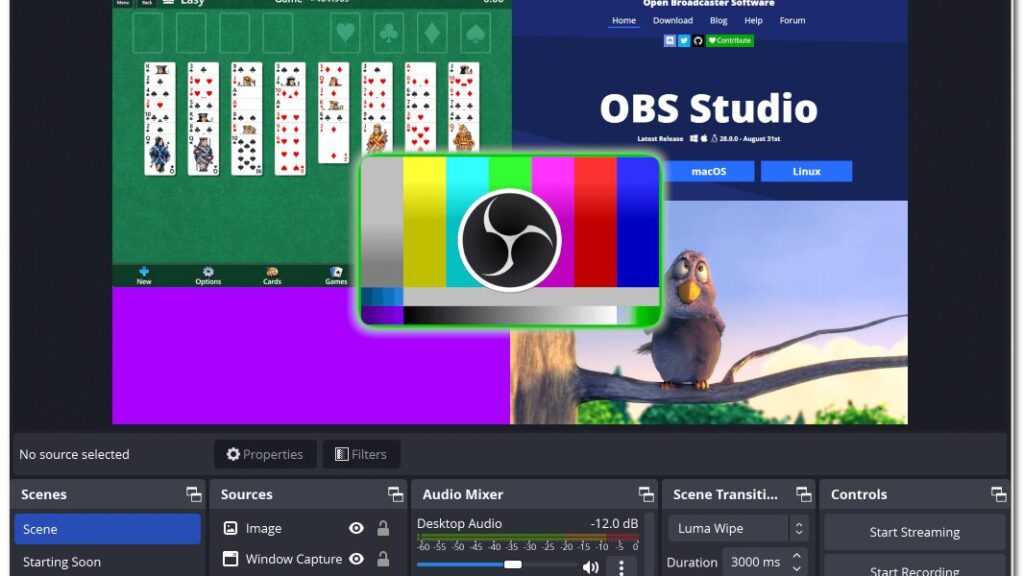 OBS Studio Video Editing