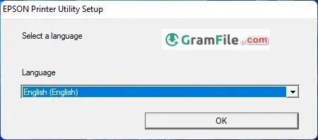 Epson Printer Drivers Install Step 2