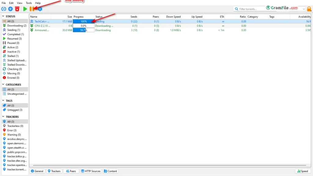 qBittorrent Disable Seeding