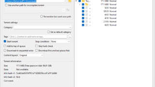 qBittorrent torrent file download