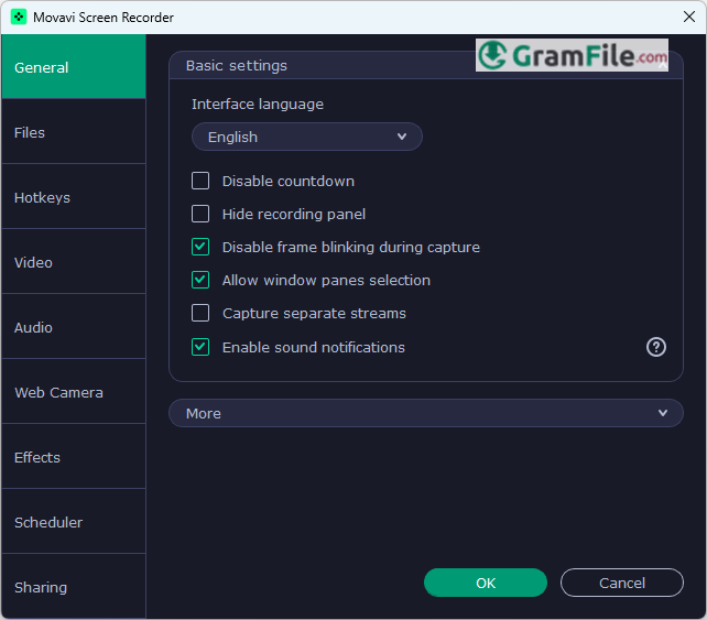 Movavi Screen Recorder Settings