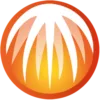 BitComet logo icon