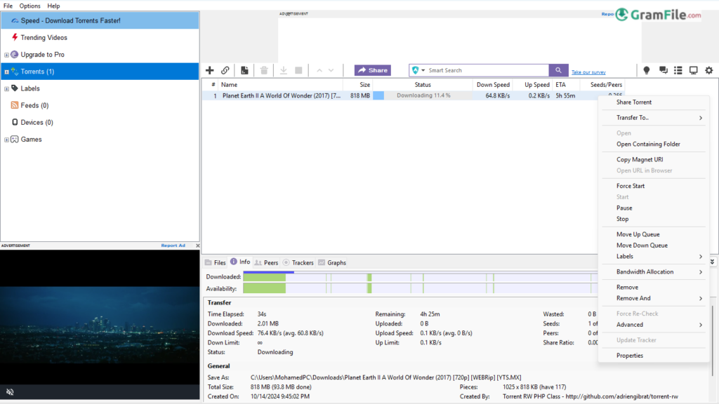 BitTorrent for PC Windows