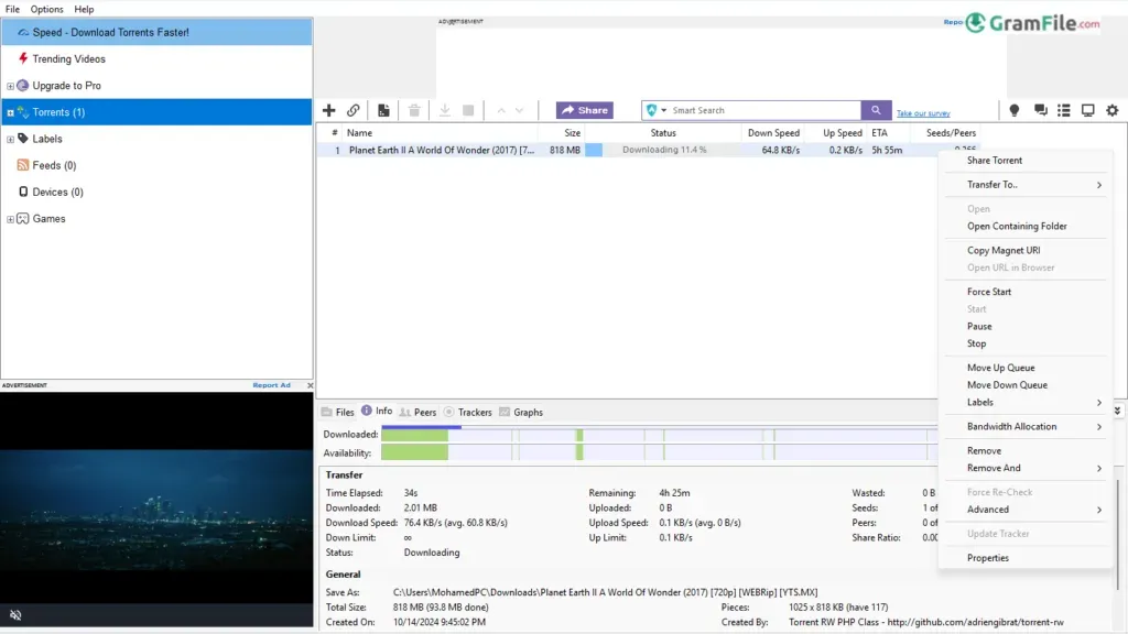 BitTorrent for PC Windows