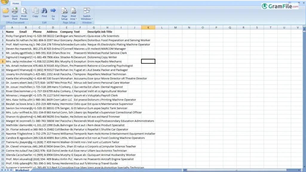 Microsoft Office Excel Viewer for Windows PC
