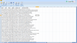 Microsoft Office Excel Viewer for Windows PC