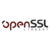 OpenSSL logo icon
