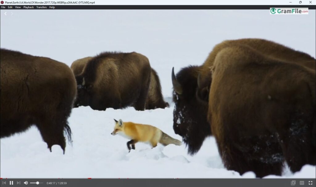 WebTorrent Desktop Download