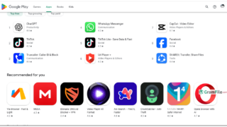 Google Play Store Download for PC Windows