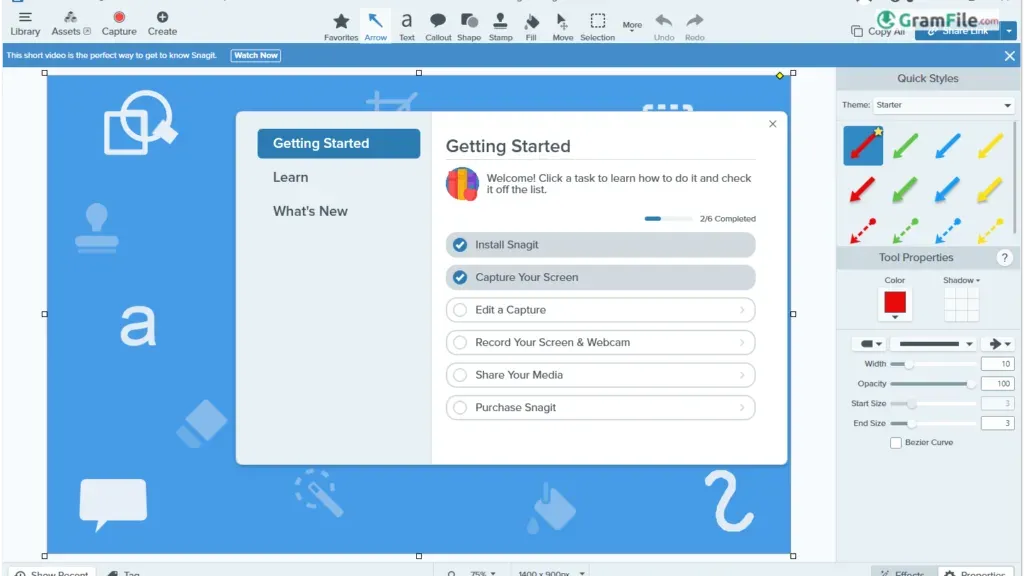 Snagit Editor