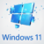 Windows 11 logo