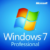 Windows 7 Professional logo icon