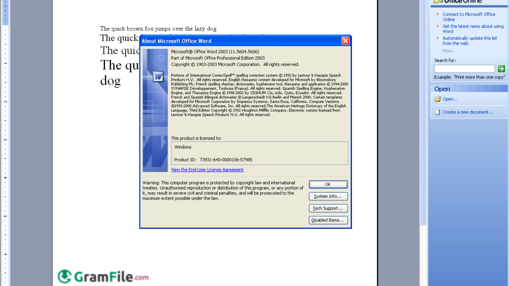 Microsoft Office 2003 Download