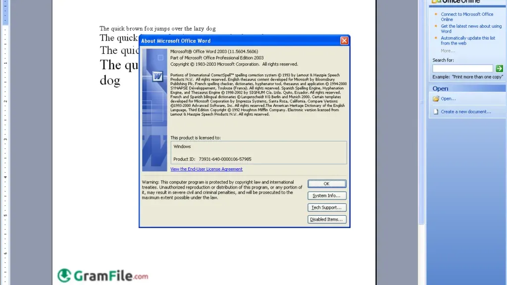 Microsoft Office 2003 Download