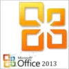Microsoft Office 2013 logo icon