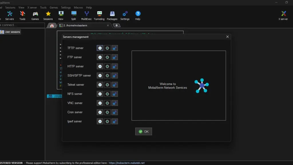 MobaXterm 64 bit servers