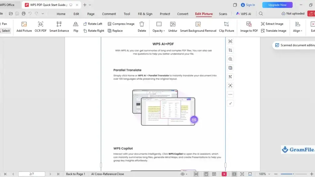 WPS PDF