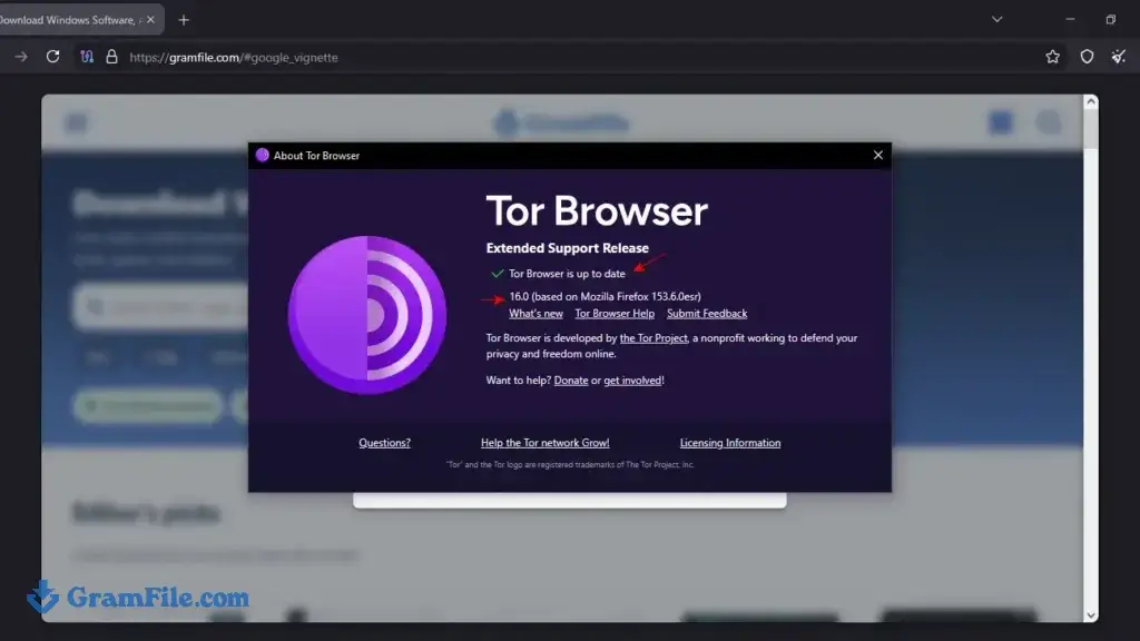 Tor Browser 64 bit latest version
